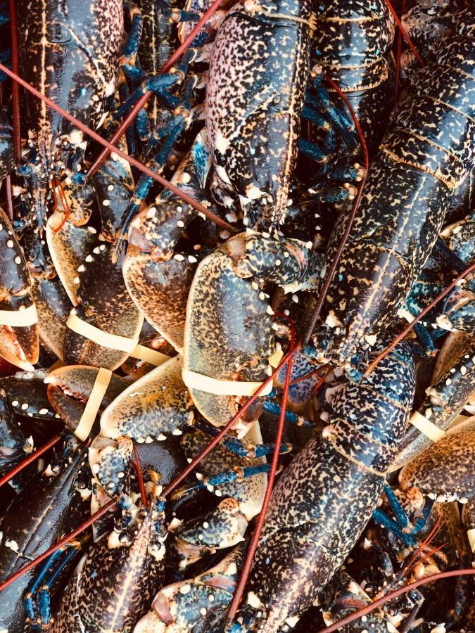 Le Parc Aux Huitres Hotell Cayeux-sur-Mer Eksteriør bilde