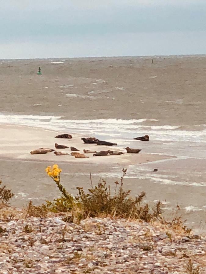 Le Parc Aux Huitres Hotell Cayeux-sur-Mer Eksteriør bilde